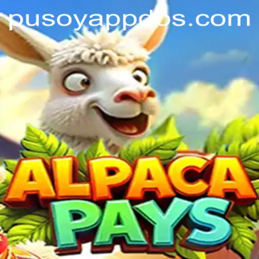 Exploring the New and Exciting World of AlpacaPays